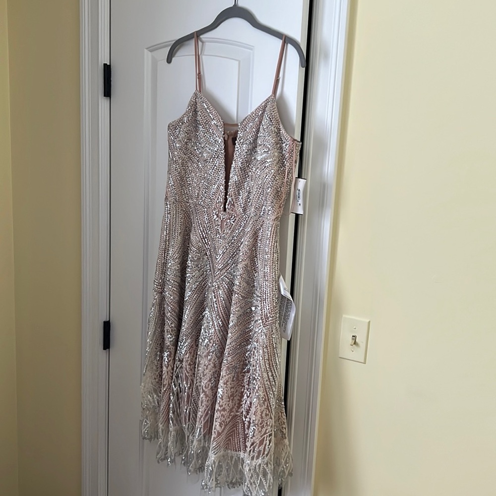 Dress the population blush wedding reception dress! New with Tags!